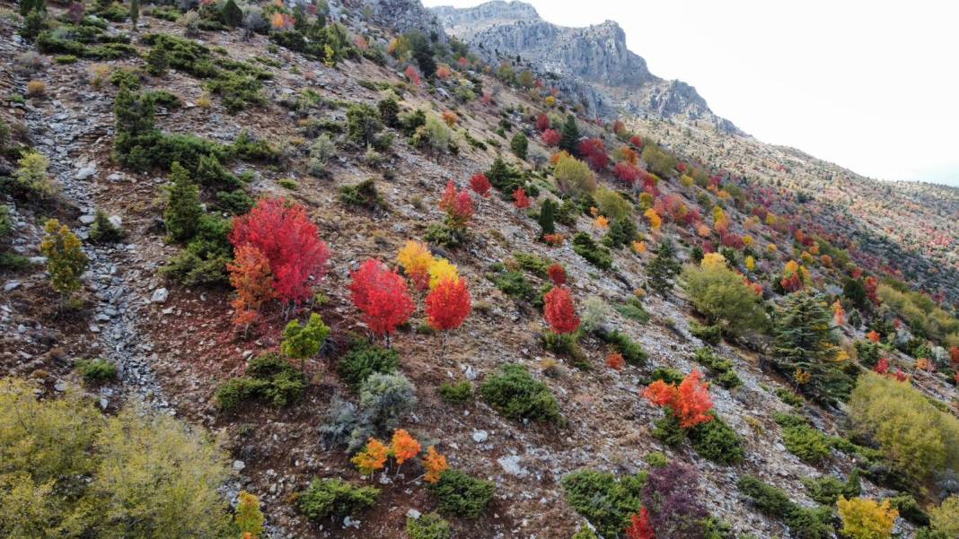 Konya’nın zirvelerinde sonbahar şöleni 4